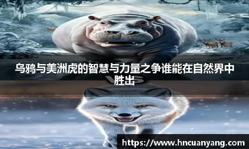 乌鸦与美洲虎的智慧与力量之争谁能在自然界中胜出